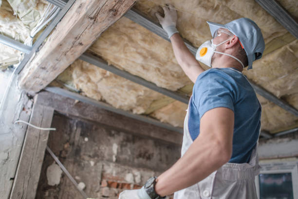 Professional Insulation Contractor in Jefferson, IA