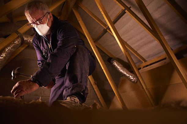 Best Spray Foam Insulation  in Jefferson, IA
